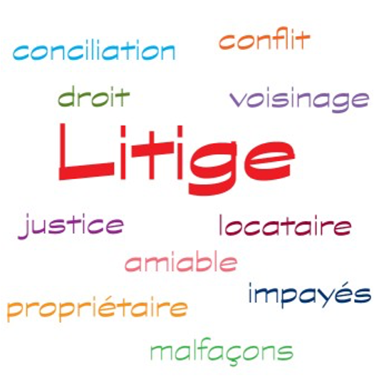 logo litige