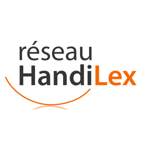 logo handilex